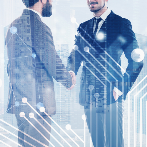 KOL/Expert Consultations